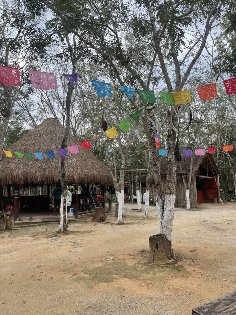a group of trees with flags and a straw hut