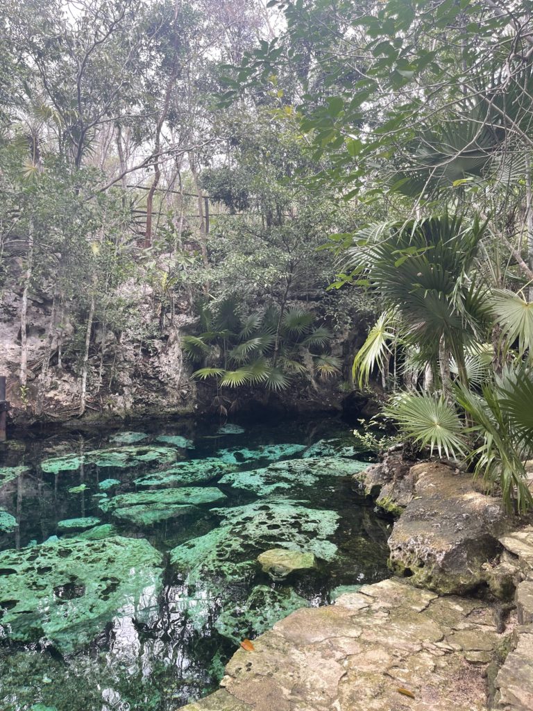 a clear blue water surrounded by trees